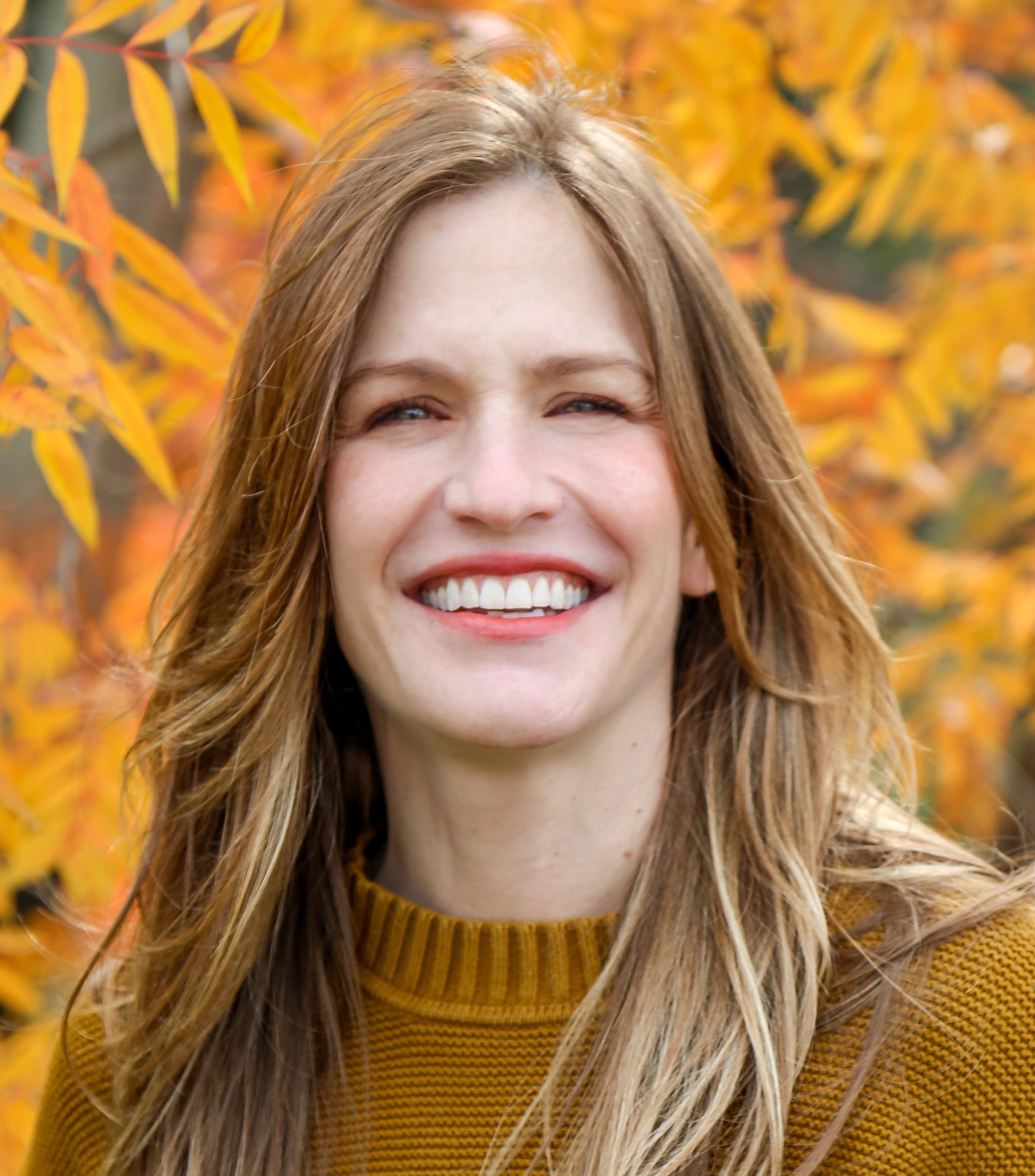 Tessa Novick MD
